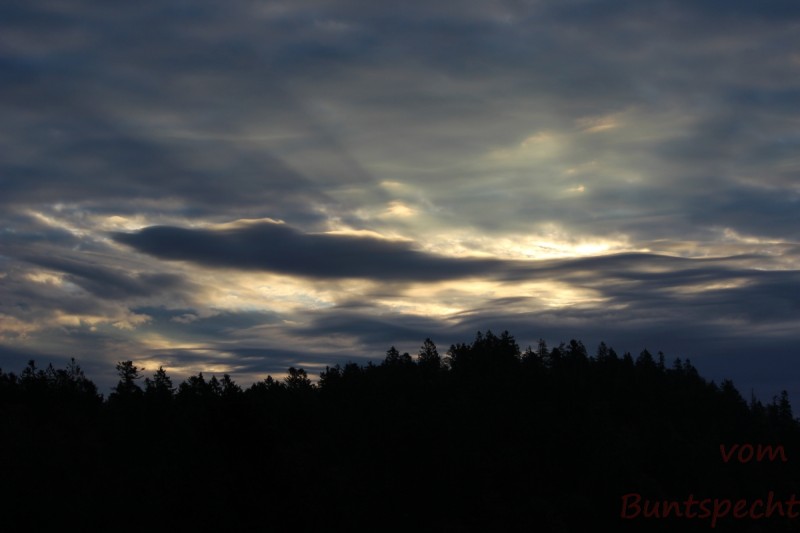 Bildla Nummära 025.jpg