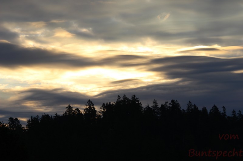 Bildla Nummära 026.jpg