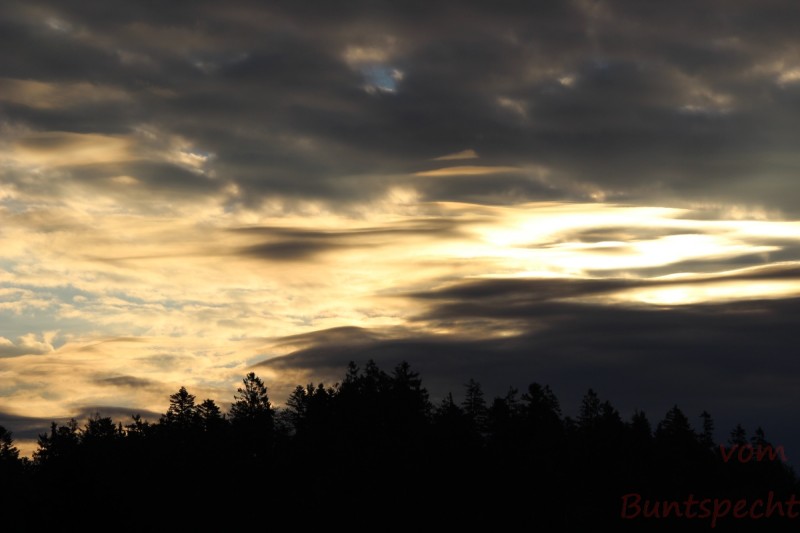 Bildla Nummära 028.jpg