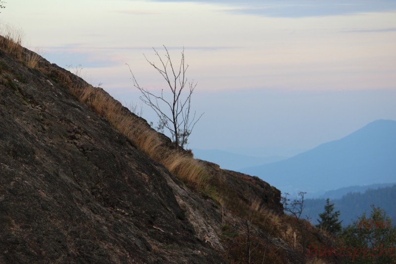 Bildla Nummära 029.jpg