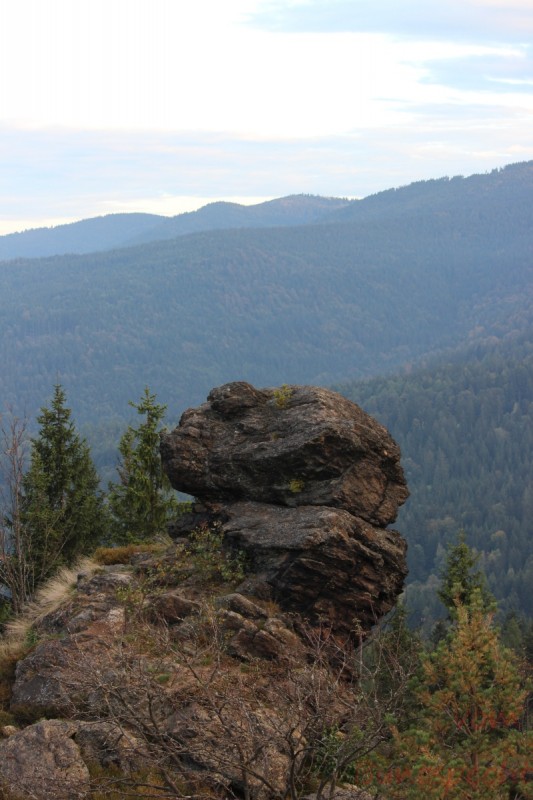 Bildla Nummära 030.jpg