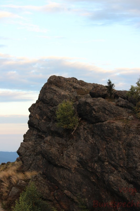 Bildla Nummära 031.jpg