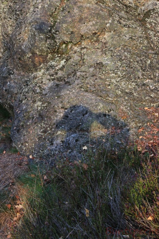 Bildla Nummära 034.jpg