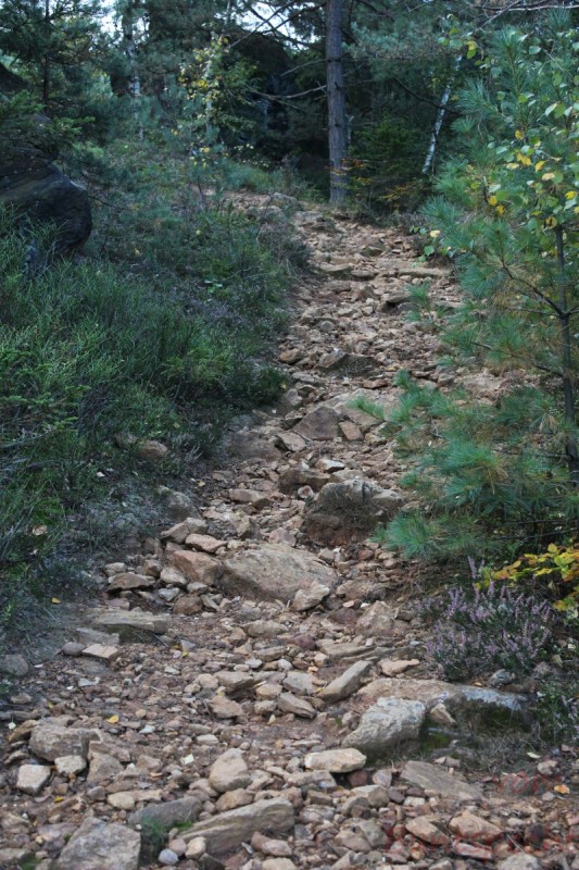 Bildla Nummära 040.jpg