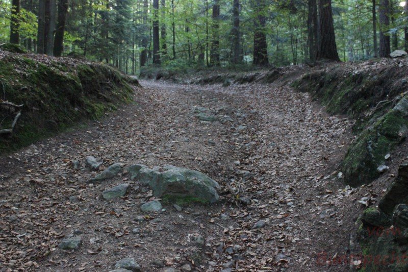 Bildla Nummära 041.jpg