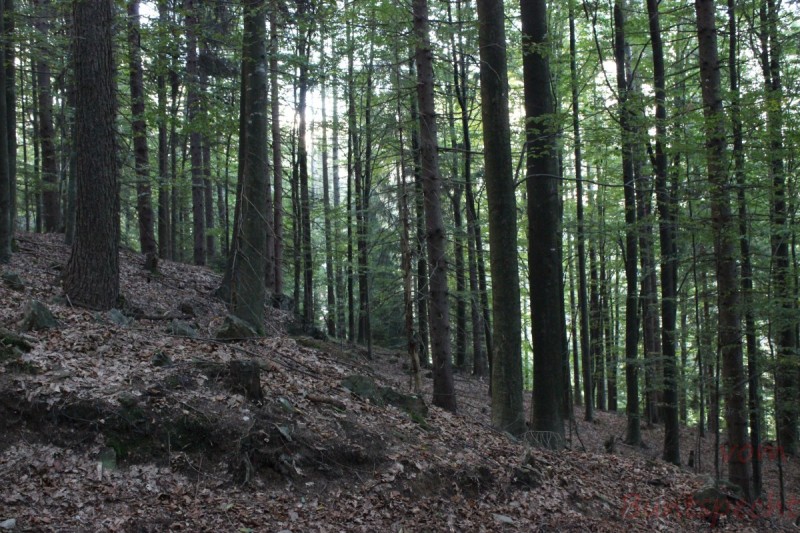 Bildla Nummära 042.jpg