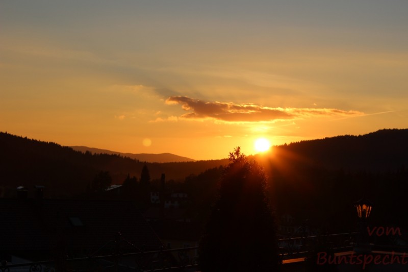 Bildla Nummära 001.jpg