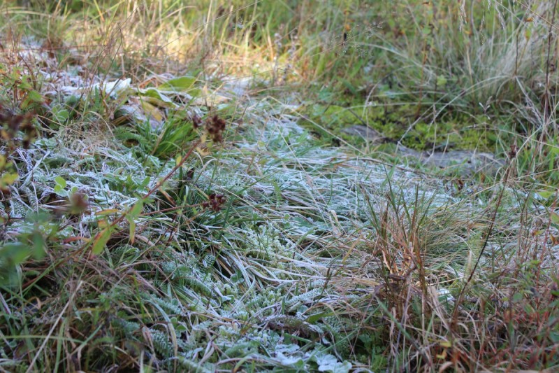 Bildla Nummära 002.jpg