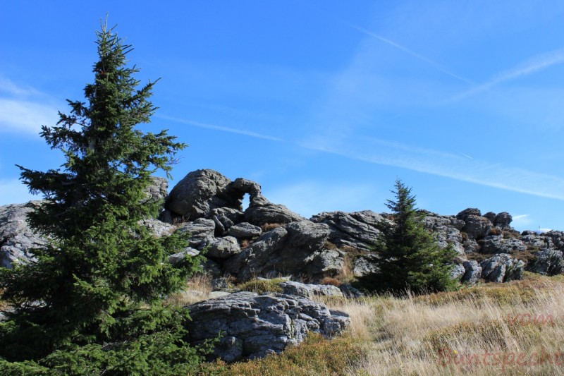 Bildla Nummära 009.jpg