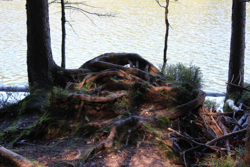 Bildla Nummära 011.jpg