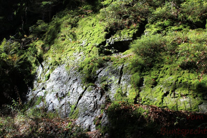 Bildla Nummära 012.jpg