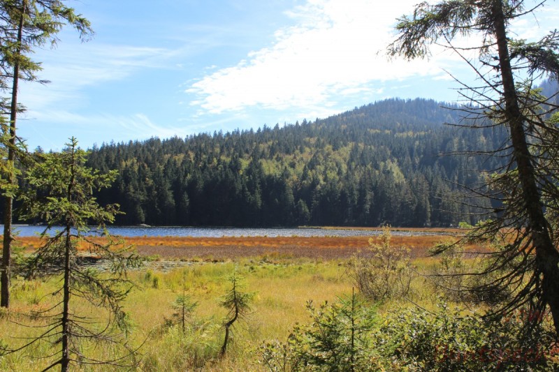 Bildla Nummära 014.jpg