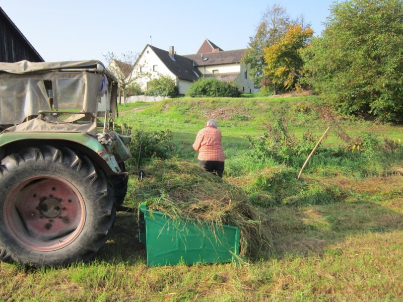 Bildla Nummära 001.jpg