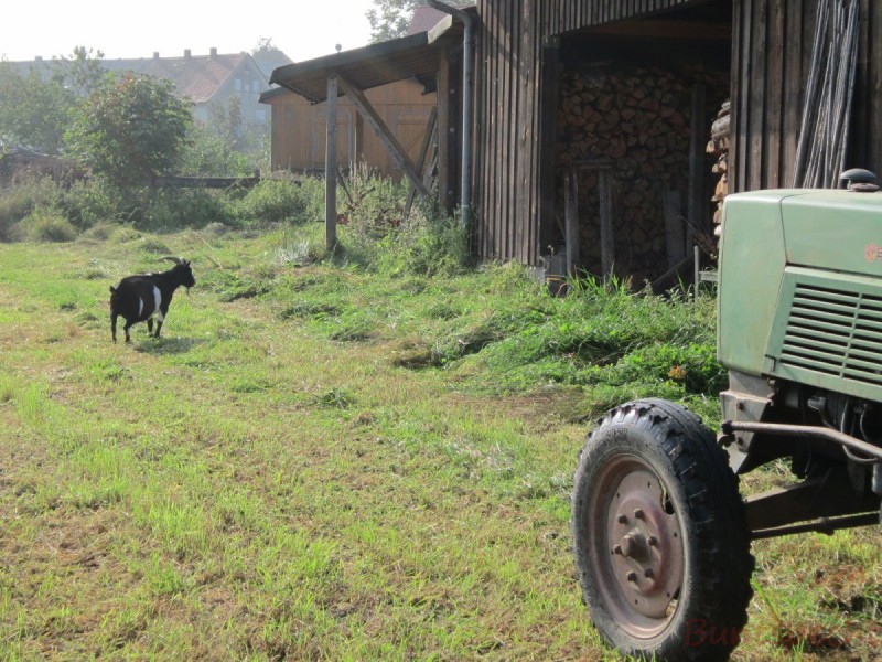 Bildla Nummära 002.jpg