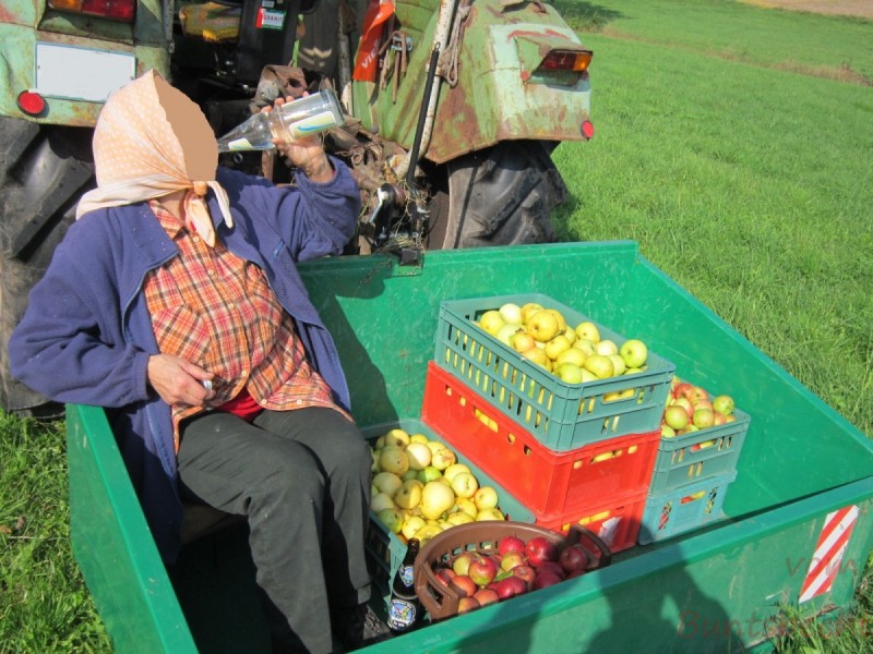 Bildla Nummära 003.jpg