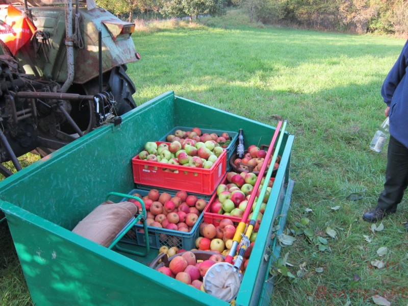 Bildla Nummära 004.jpg