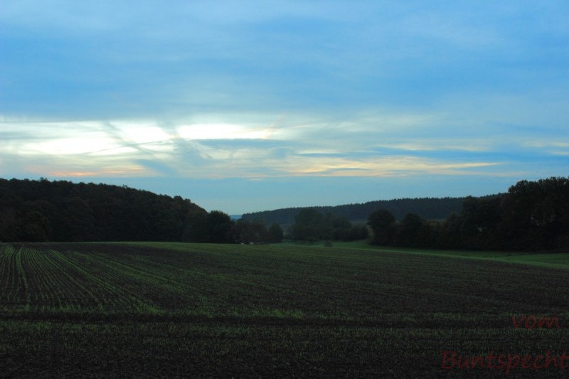 Bildla Nummära 001.jpg