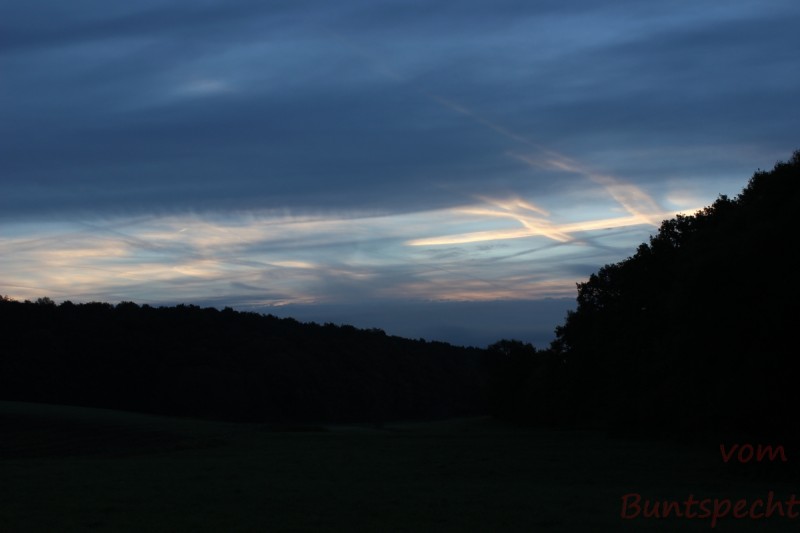 Bildla Nummära 002.jpg