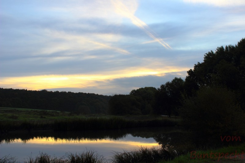 Bildla Nummära 003.jpg