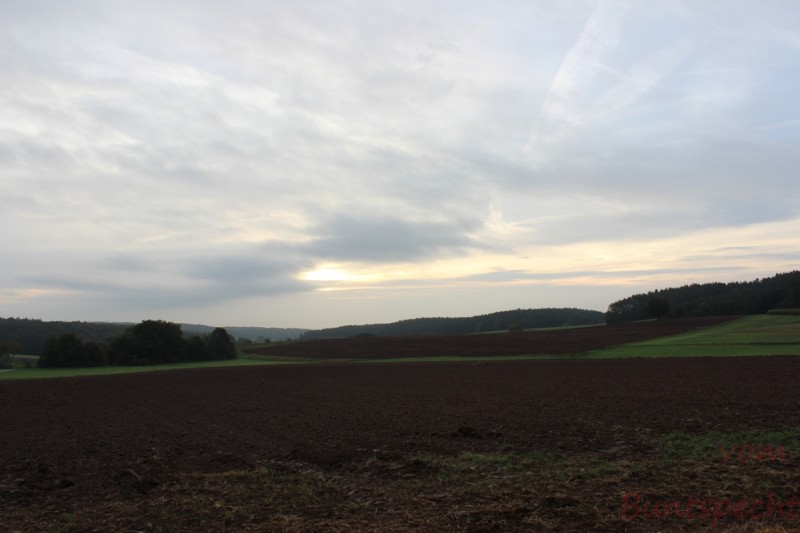 Bildla Nummära 004.jpg