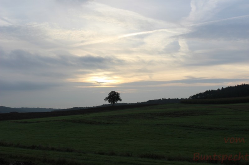 Bildla Nummära 005.jpg