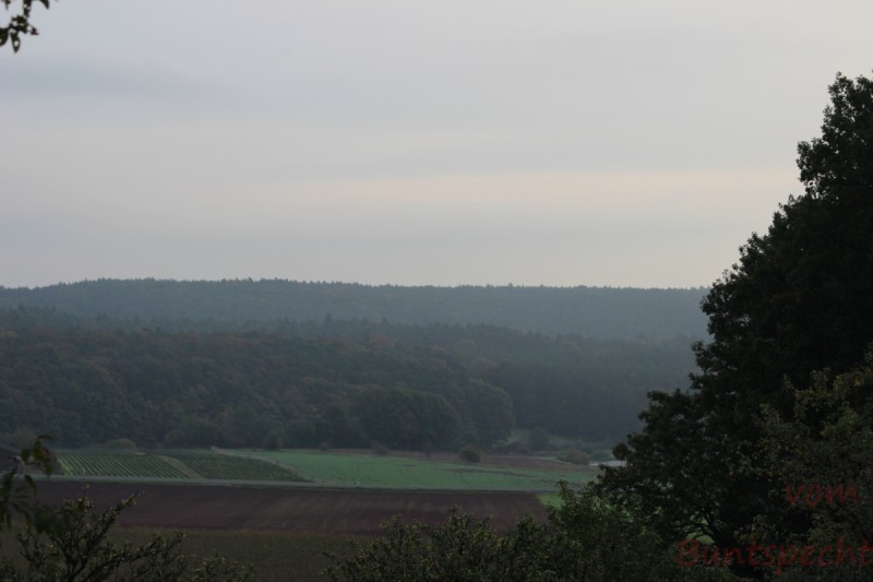 Bildla Nummära 007.jpg