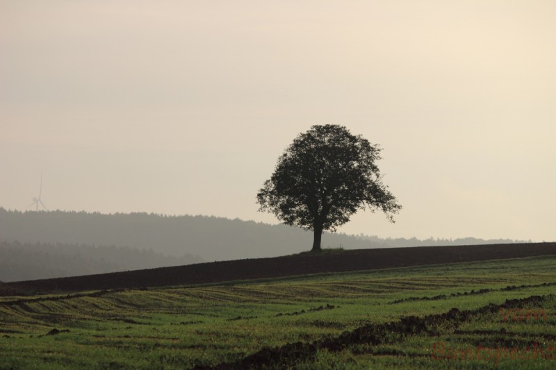 Bildla Nummära 008.jpg