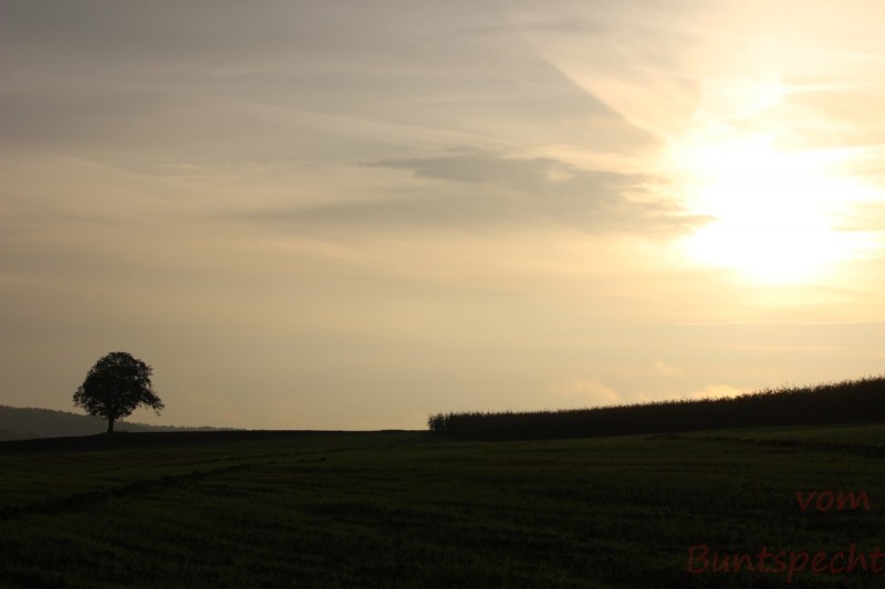 Bildla Nummära 009.jpg