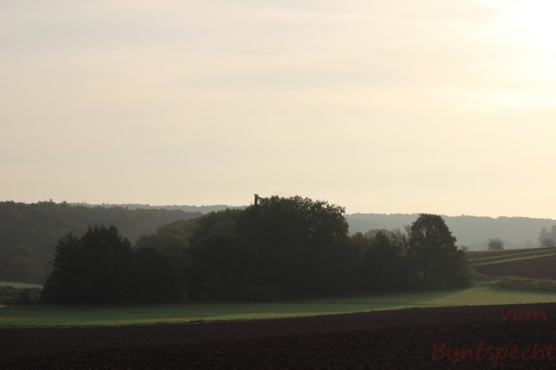 Bildla Nummära 012.jpg