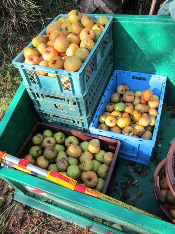 Bildla Nummära 001.jpg