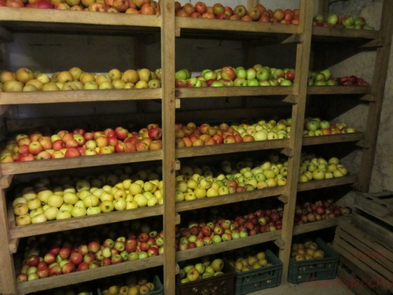 Bildla Nummära 002.jpg