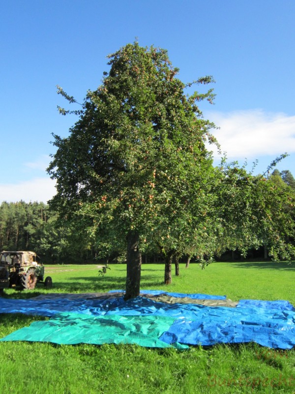 Bildla Nummära 003.jpg