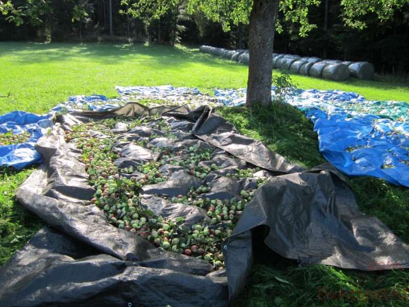 Bildla Nummära 005.jpg