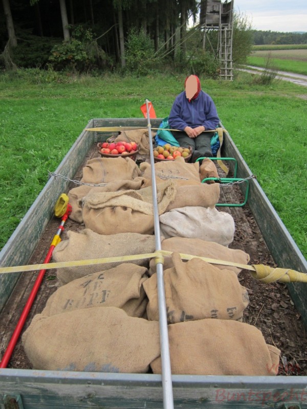 Bildla Nummära 006.jpg