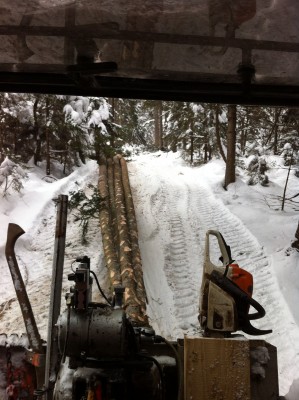 IMG_1502 - Kopie.JPG