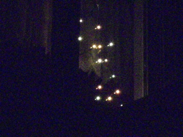 DSCI1550 (Small).JPG