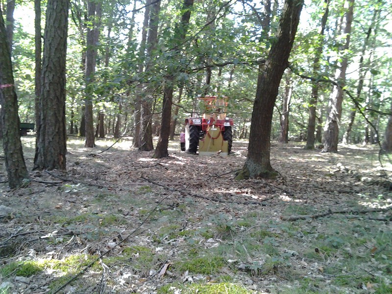 2012-08-20 09.53.17.jpg