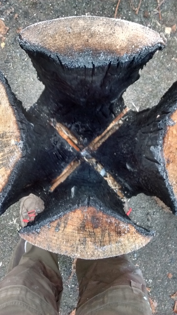 IMG_20161205_105311939_HDR (360x640).jpg