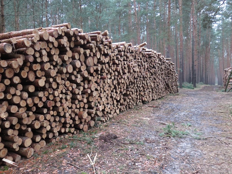 IMG_x0029 - Kopie.jpg