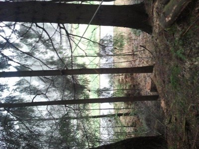 2013-12-14 13.01.55.jpg