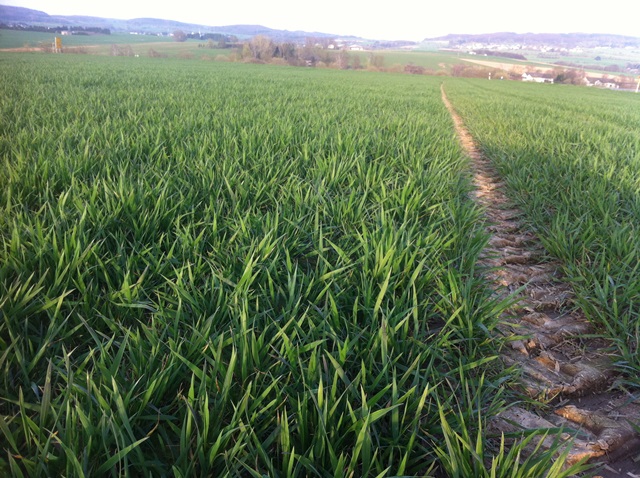 Ausflug Samstag 025.JPG