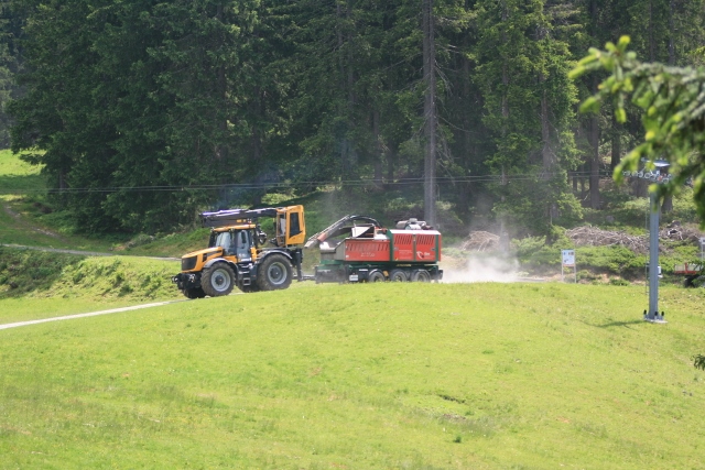 IMG_7183 (640x427).jpg