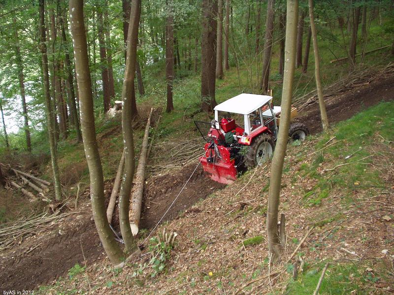 Am_Zwischenplateau_P9220004_2.JPG