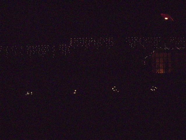 DSCI1569 (Small).JPG