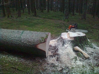 Bild1077.jpg