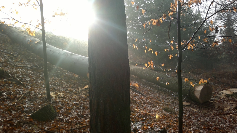 041220111276 (Kopie).jpg