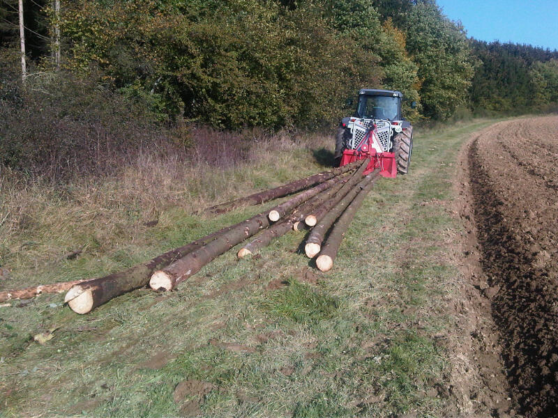 Käferholz 20111022-1132.jpg