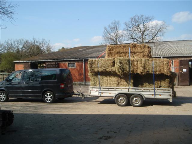 P4240130 (Small).JPG