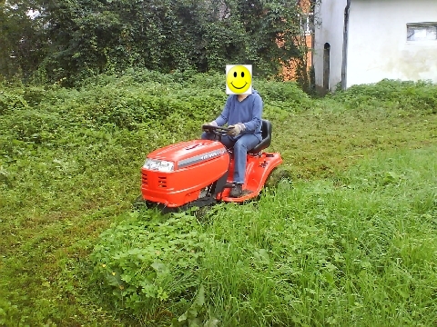 DSC00222 lustig.jpg