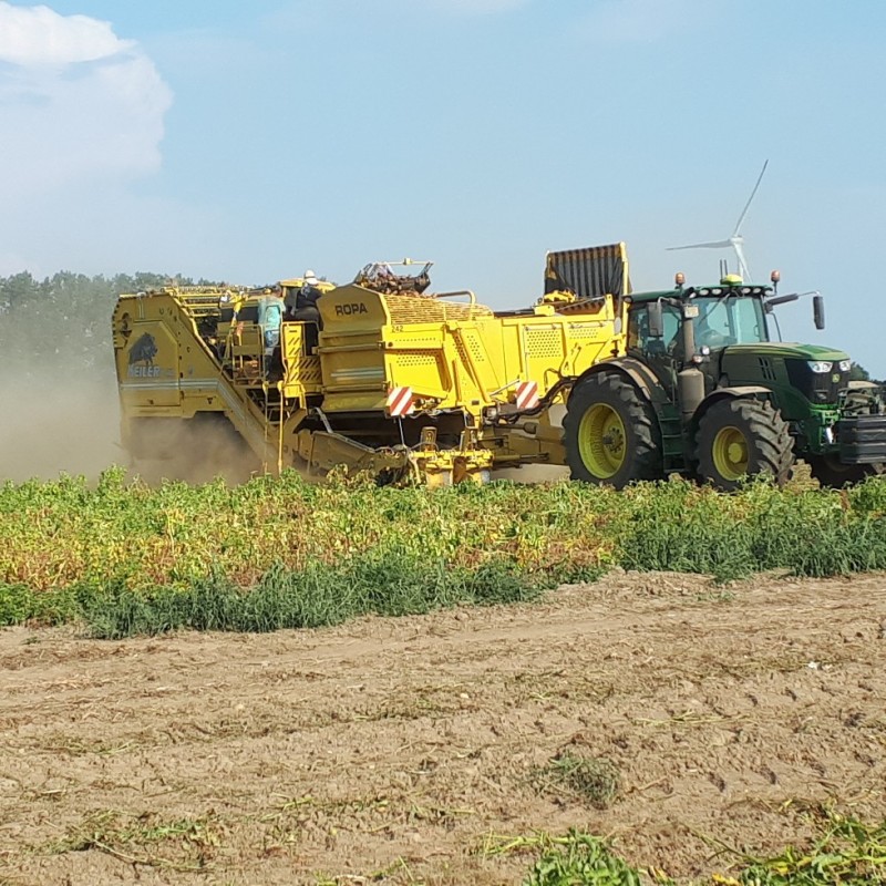 20200809_175734_copy_979x979 (002).jpg